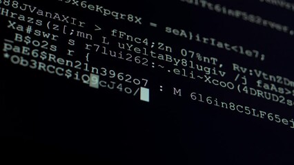 Wall Mural - program code. computer programming code scroll. source code on the monitor screen.
