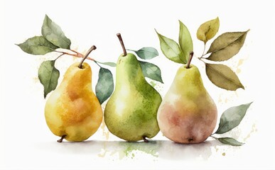 Wall Mural - drawn pears on white background watercolor fruit organic food illustrations Generative AI