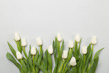 Fototapeta Tulipany - White tulips on color background, top view