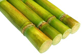 Fototapeta Sypialnia - Fresh Sugarcane