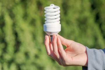 Young boy's hand holding an energy-saving light bulb against an out-of-focus background of trees. Concept of ecology, energy saving and sustainability.