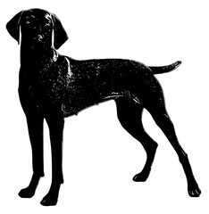 Wall Mural - dog silhouette