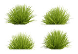 Set of green grass on transparent background, 3d render illustration.