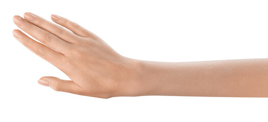 one women's hand with perfect manicure and skin, sign of luxury and style. great for fashion and bea