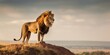 Lion standing on a hill. Generative AI image