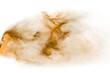Brown sand explosion isolated on white background. Abstract sand cloud backdrop.