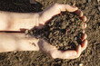 gift of life with child hands holding organic precious soil