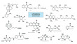 Chemical formulas of vitamins a, b, c, e, e, k. Retinol, tocopherol, ascorbic acid, folic acid, riboflavin. Vector illustration
