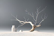 Tree In The Snow.Minimal Mockup Background For Product Presentation. Podium And Dry Tree Twigs Branch With White Sand Beach On White Background.