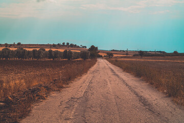 Poster - paesaggio agricolo