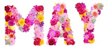 Word May With Various Colorful Flowers

