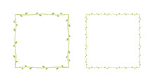 Square Green Vine Frames And Borders Set, Floral Botanical Design Element Vector Illustration