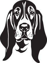Basset Hound Dog Face Isolated On A White Background, SVG, Vector, Illustration.	