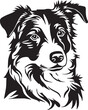 Border collie dog face isolated on a white background, EPS, Vector, Illustration.	