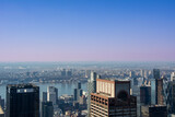 Fototapeta  - vista panoramica desde rascacielo en nueva york