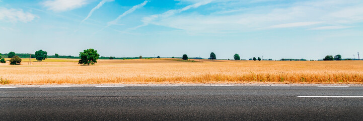 Canvas Print - Road through countryside wheat fields with blue sky