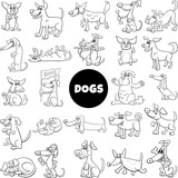 Fototapeta Pokój dzieciecy - cartoon dogs and puppies characters set coloring page