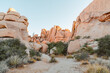 © Scott Snyder/Stocksy - Hiking through Joshua Tree