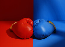 Political Boxing Gloves Divided
