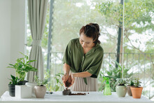 Home Gardener Transplanting Plant In Ceramic Pots