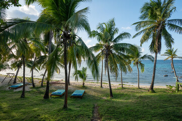 Sticker - Tropical  beach  with shade from palm trees