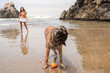© Luis Herrera/Stocksy - Woman and her dog playing fetch at the beach