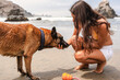 © Luis Herrera/Stocksy - woman petting her dog