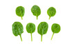 Baby spinach leaves set isolated transparent png. Healthy food
