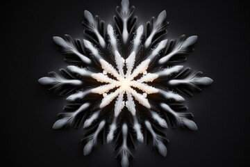 Poster - A Snowflake Made Of Feathers On A Black Background With A White Center Tundra Kinetic Art 3d Modeling Generative AI 