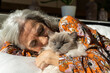 © Alba Vitta/Stocksy - Mature woman kissing cat