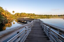 Elevated Boardwalk At Green Cay Nature Center And Wetlands In Boynton Beach, Florida On Clear Cloudless Sunny Morning.