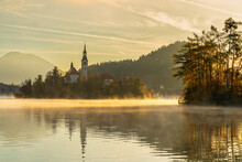 Misty Morning At Lake Bled  