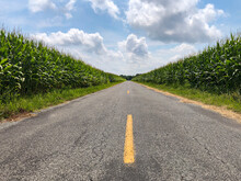Rural Road Through Corn Field Summer Agriculture Landscape 