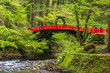 日本の風景　山形の信仰の山　羽黒山　神橋