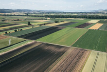 Switzerland's Agriculture Fields