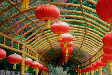 Chinese Lunar New Year Lantern Decoration
