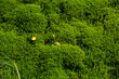 © Alba Vitta/Stocksy - Moss and leaf
