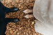 © Melika Tursic Musinovic/Stocksy - Photo of a couple standing in the field on a autumn day