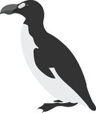 Fototapeta Pokój dzieciecy - Great auk bird vector image