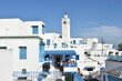 Blue and White Sidi Bou Said Architecture, Tunis