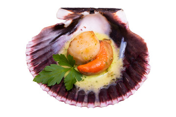 Canvas Print - grilled scallop in green sauce