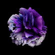 © Robert Kohlhuber/Stocksy - Bursting abstract 3D shape