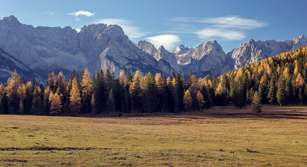 Aufkleber - Incredible autumn scenery at Alpine valley in Italian Dolomite Alps. Yellow and orange larches forest and rocky mountains peaks on background. Dolomites, Italy. Picture of wild area