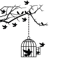Wall Mural - bird vector design, webinar vector design, post design, school admission banner vector design, post vector, sell vector design