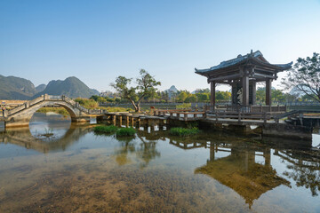 scenery of longtan wetland park, jingxi, guangxi, china.chinese translation: goose