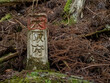 森の中にある大阪府の境界標石（大阪府豊能町、初谷渓谷）