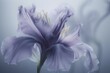  a close up of a purple flower with a blurry back dropper behind the flower and the center of the flower in the foreground.  generative ai