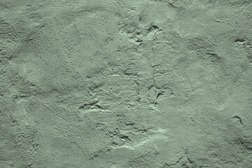 Wall Mural - Light pale gray green uneven texture. Painted old concrete wall with plaster. Sage green color. Grunge. Rough surface background for design. Empty. Close-up.