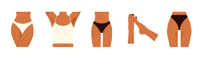 Hairy body collection. Female unshaved hairy legs, armpit and pubic hair set. Body positive, normalize female body hair, skin care. Vector illustration in cartoon style. Isolated white background