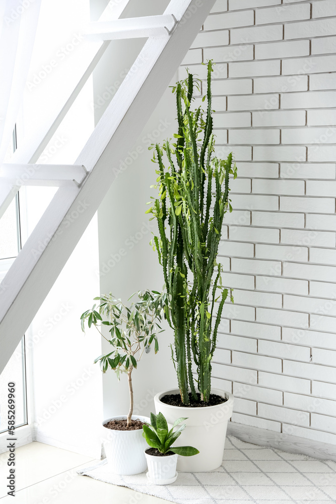 Green houseplants near white brick wall in room